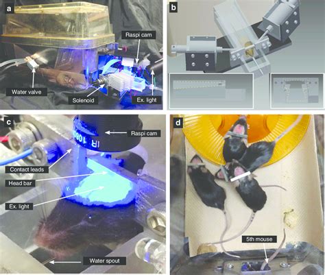 rfid mouse tracking|rfid mouse cages.